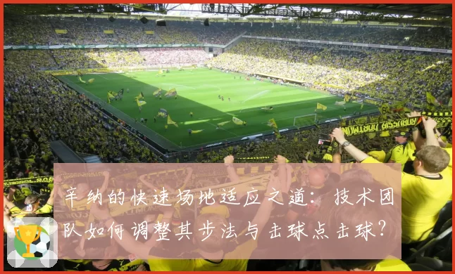 辛纳的快速场地适应之道:技术团队如何调整其步法与击球点击球?