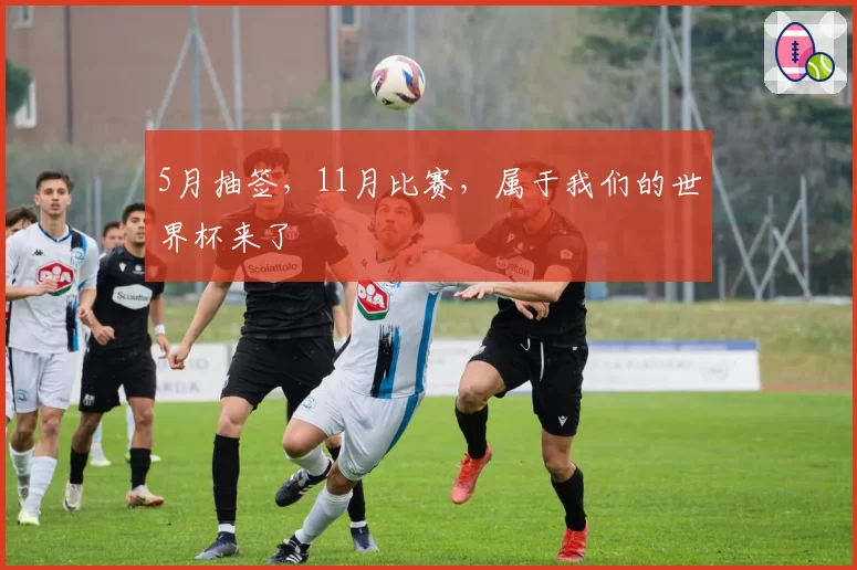 5月抽签，11月比赛，属于我们的世界杯来了