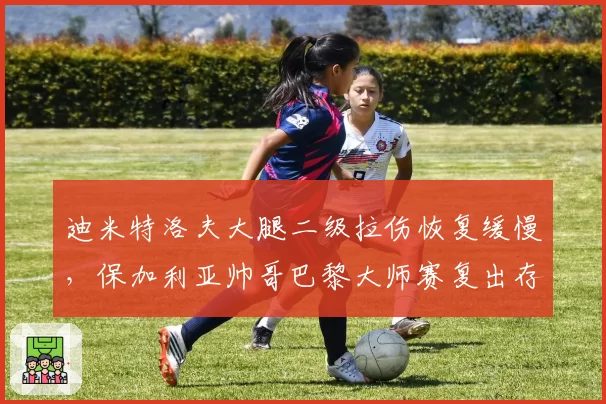 迪米特洛夫大腿二级拉伤恢复缓慢，保加利亚帅哥巴黎大师赛复出存疑？
